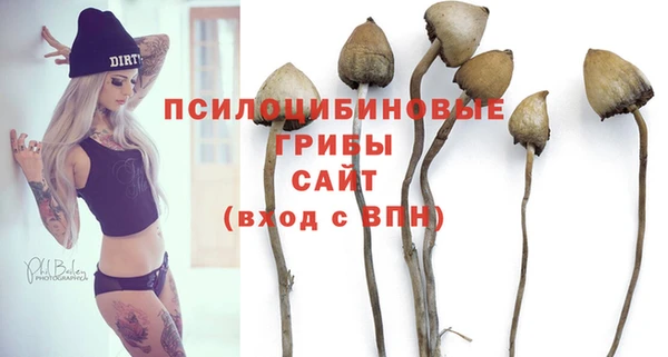 a pvp Михайлов
