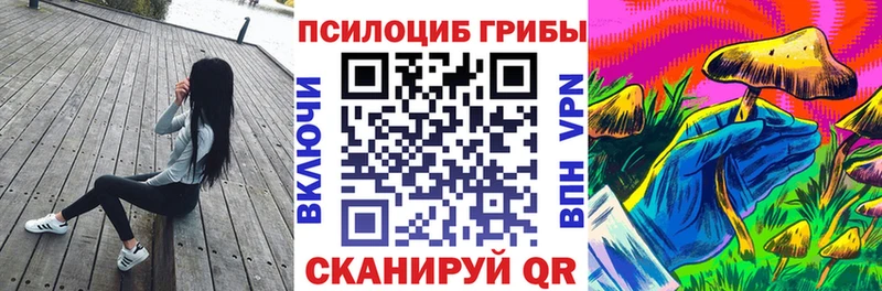 наркотики  Кстово  Псилоцибиновые грибы MAGIC MUSHROOMS 
