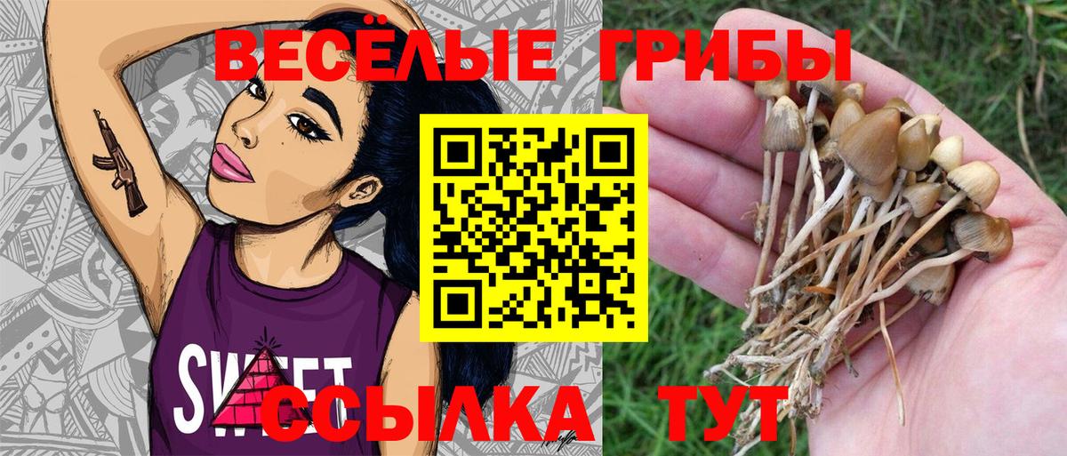 Кстово  Галлюциногенные грибы Cubensis  Вход с VPN 